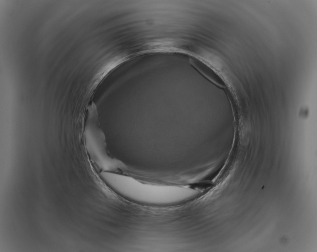 X0000097831289200803281151