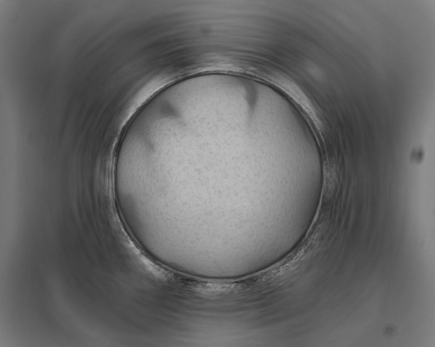 X0000097831290200803281151