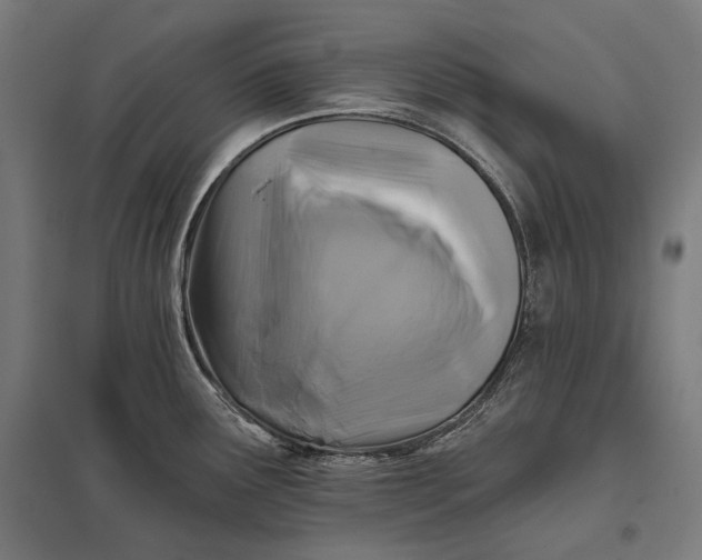 X0000097831291200803281151