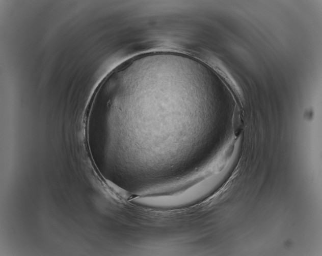 X0000097831292200803281151