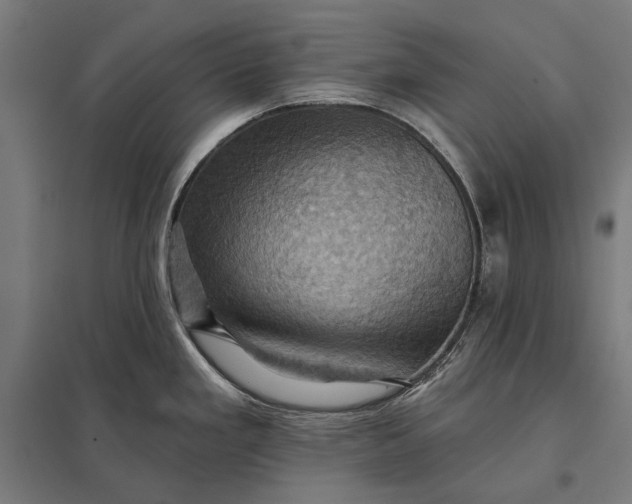 X0000097831293200803281151