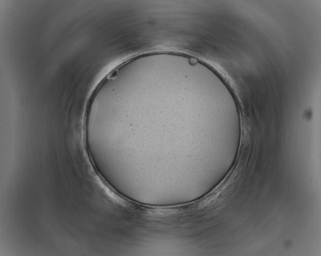 X0000097831294200803281151