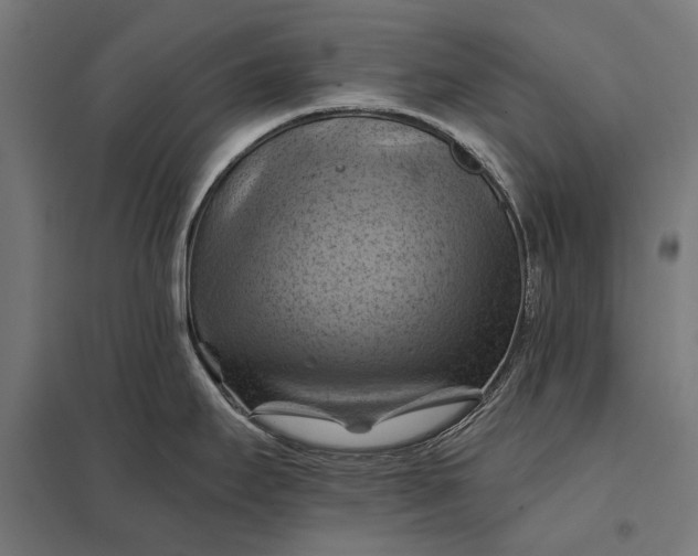 X0000097831295200803281151