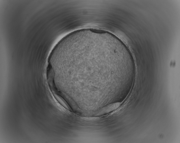 X0000097831296200803281151