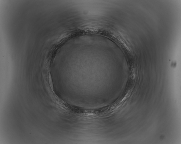 X0000097831297200803281151