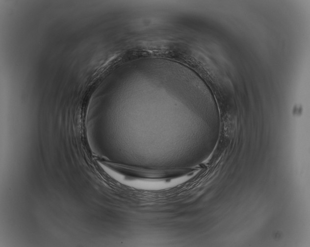 X0000097831298200803281151