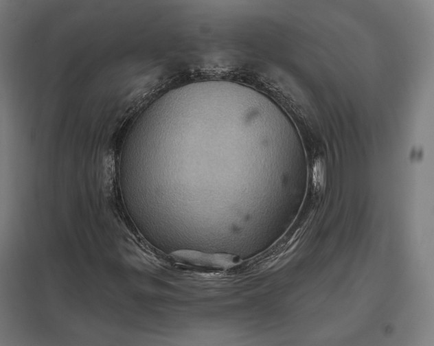 X0000097831299200803281151