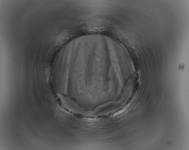 X0000097831300200803281151