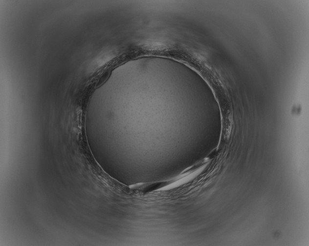 X0000097831301200803281151