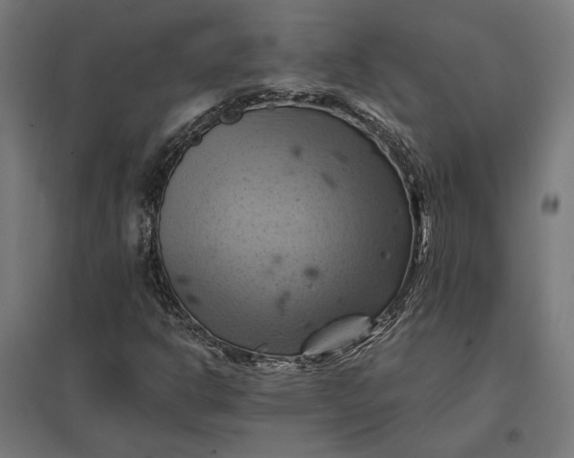 X0000097831302200803281151