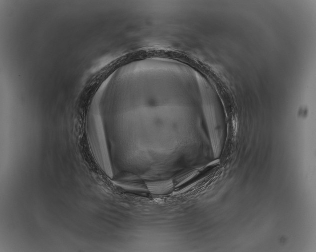 X0000097831303200803281151