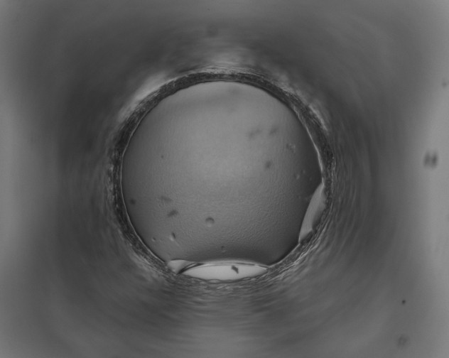 X0000097831304200803281151