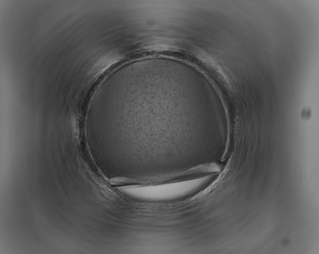 X0000097831305200803281151