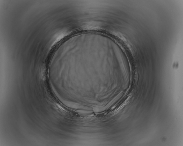 X0000097831306200803281151