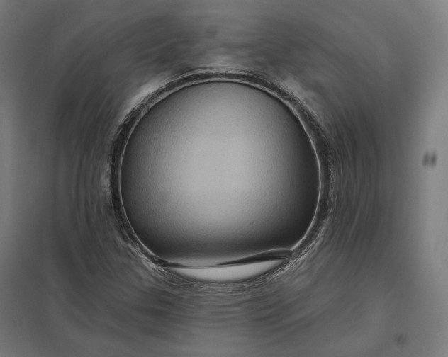 X0000097831307200803281151