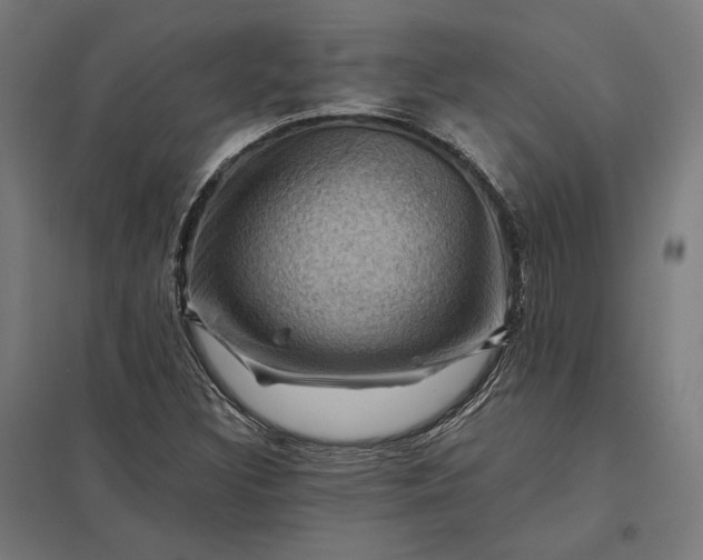 X0000097831308200803281151