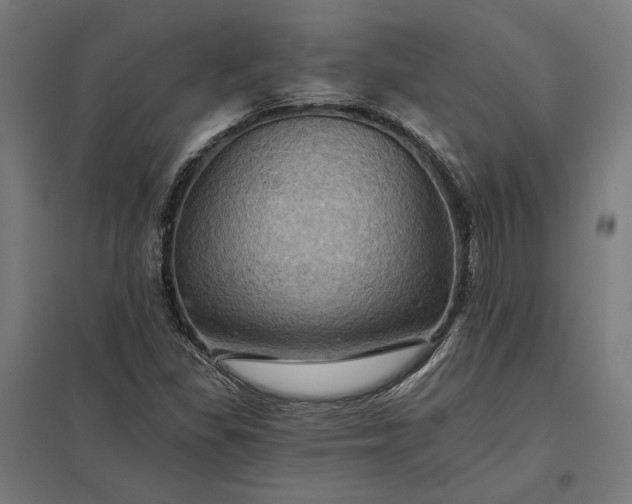 X0000097831309200803281151