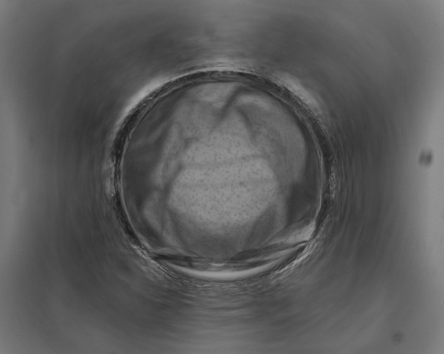 X0000097831310200803281151