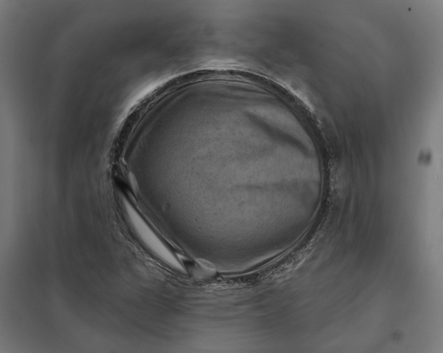 X0000097831311200803281151