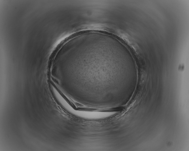 X0000097831312200803281151