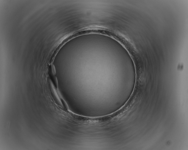 X0000097831313200803281151