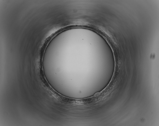 X0000097831315200803281151