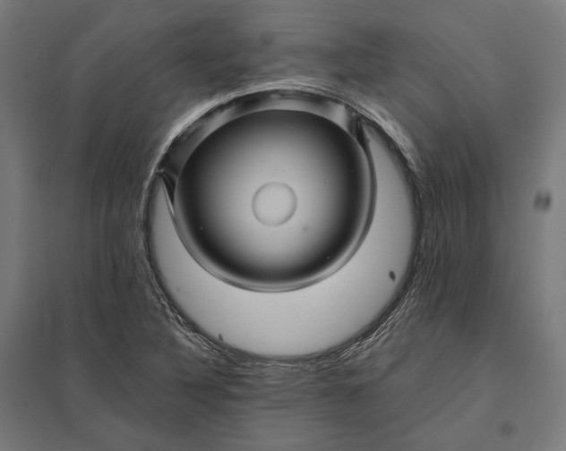 X0000097831316200803281151