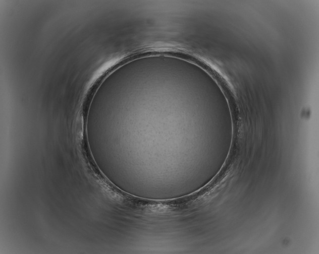 X0000097831317200803281151