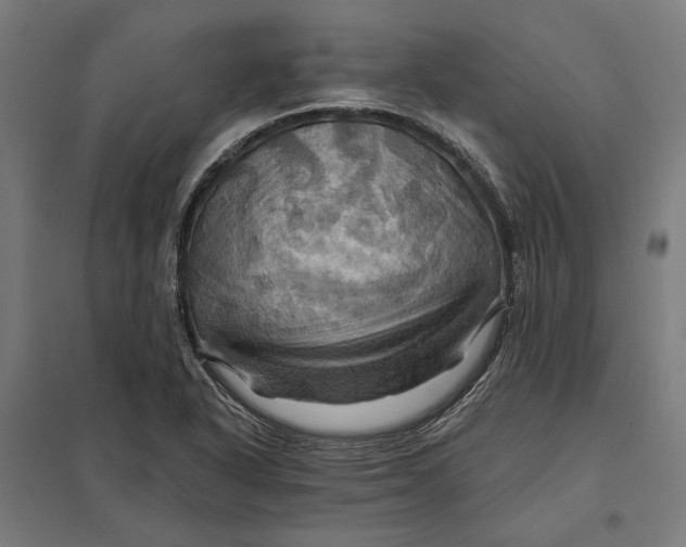 X0000097831318200803281151