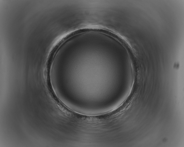 X0000097831319200803281151