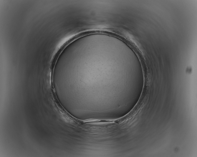 X0000097831320200803281151