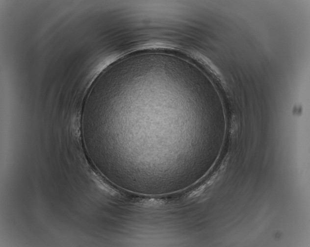 X0000097831321200803281151