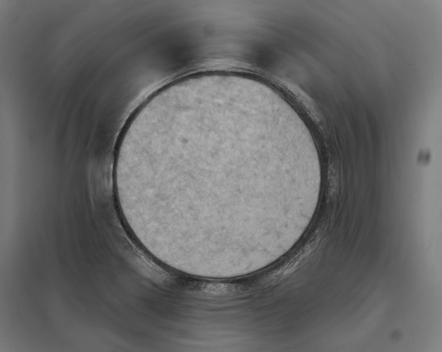 X0000097831322200803281151