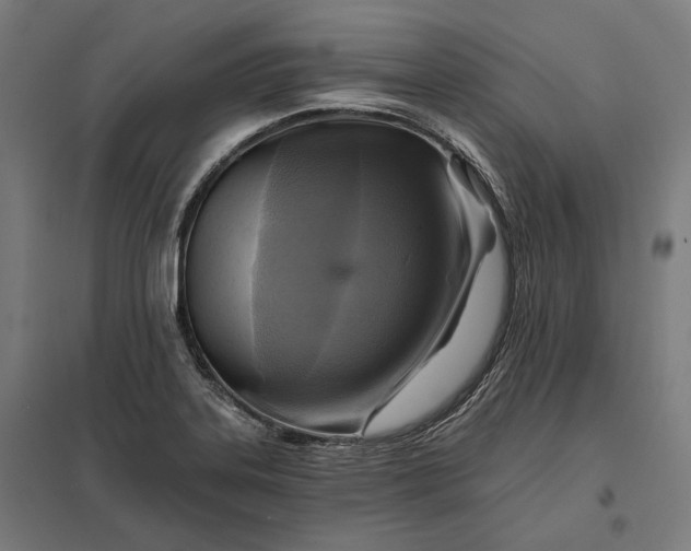 X0000097831323200803281151