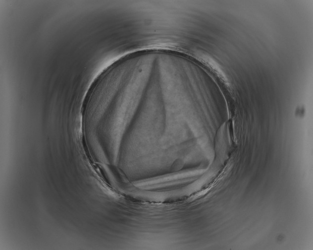 X0000097831324200803281151