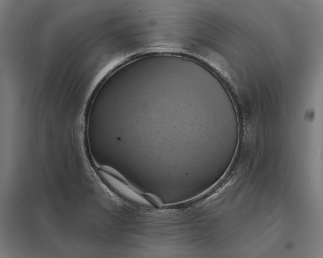 X0000097831325200803281151