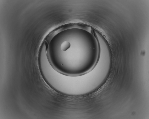 X0000097831326200803281151