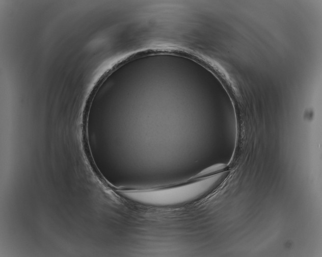 X0000097831327200803281151