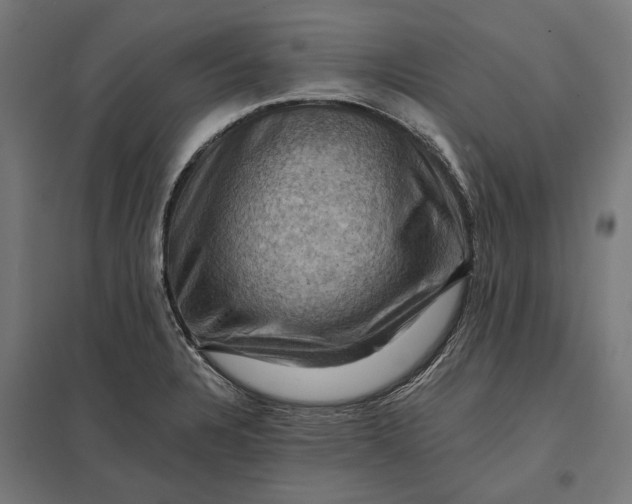 X0000097831328200803281151