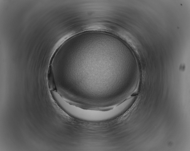 X0000097831330200803281151