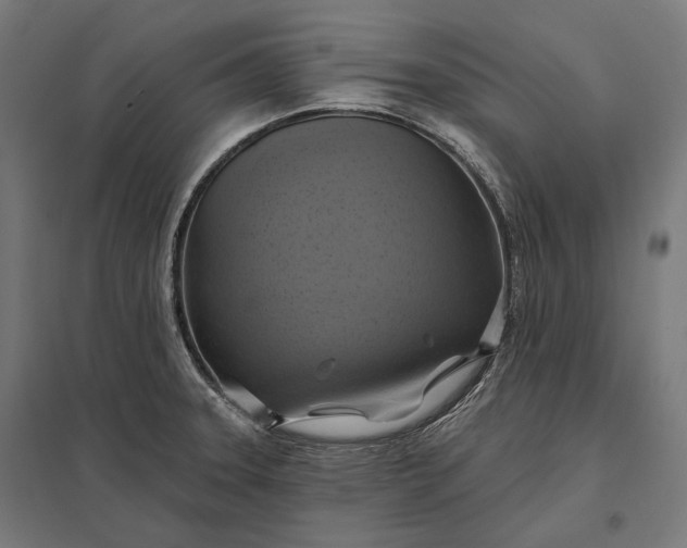 X0000097831331200803281151