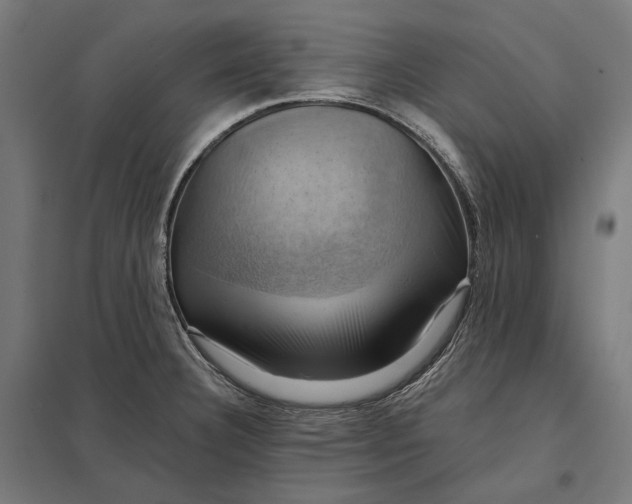 X0000097831332200803281151