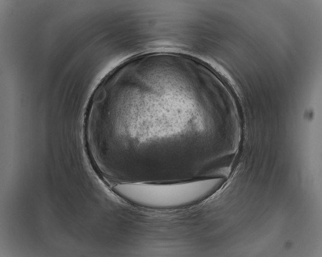 X0000097831333200803281151