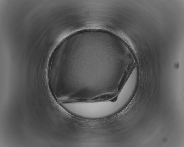 X0000097831334200803281151