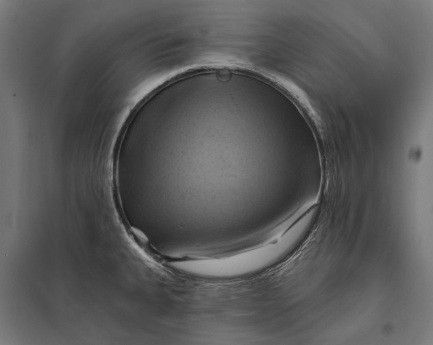 X0000097831335200803281151