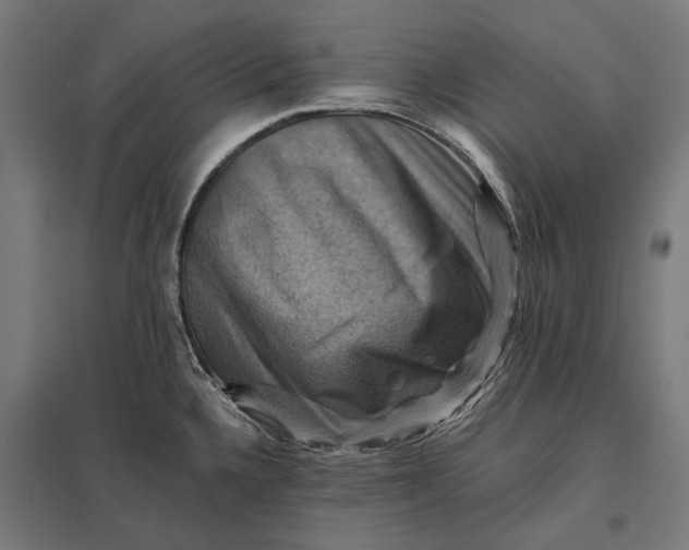 X0000097831336200803281151