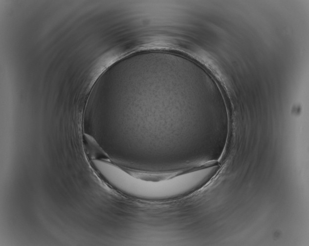 X0000097831337200803281151