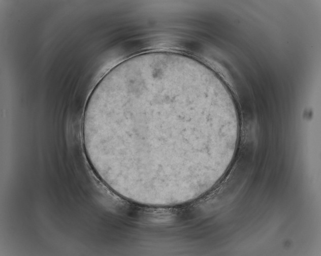 X0000097831338200803281151