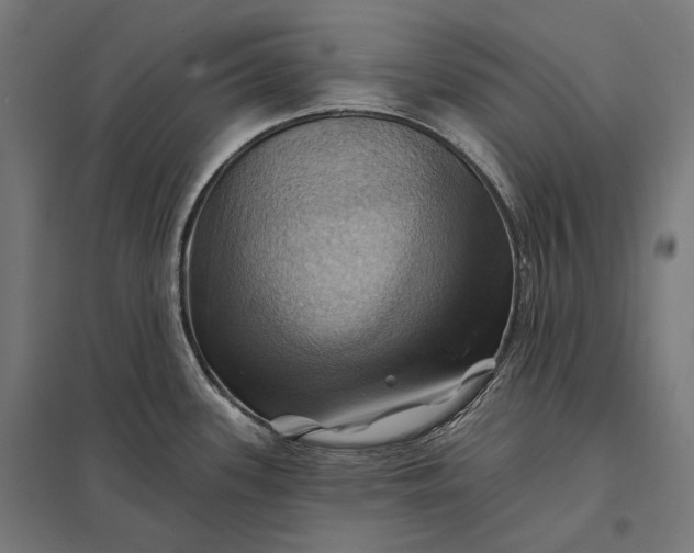 X0000097831339200803281151