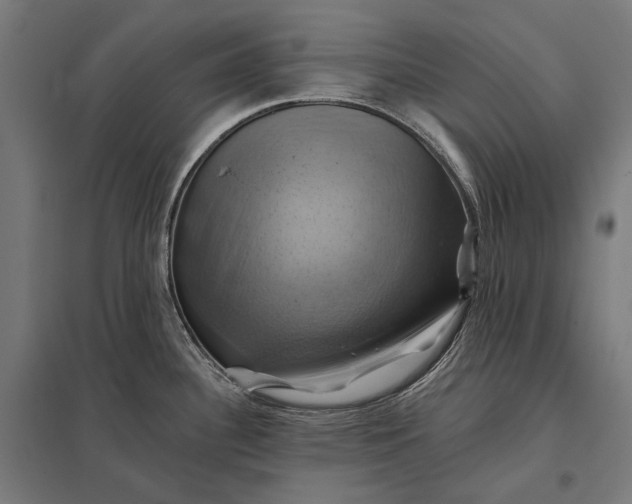 X0000097831340200803281151